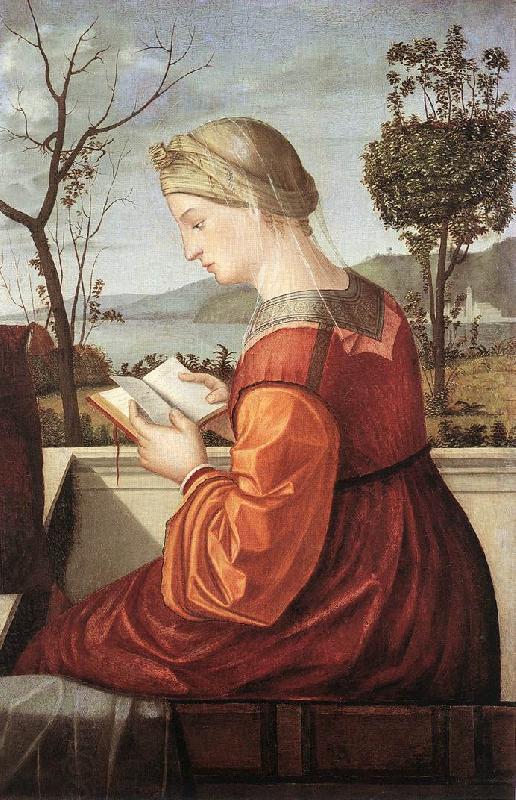 CARPACCIO, Vittore The Virgin Reading fd oil painting picture